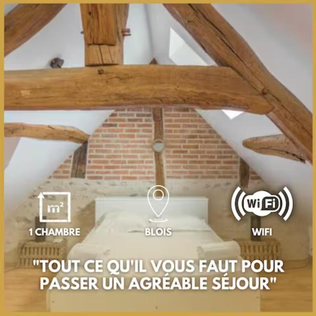 Duplex Joliblois Apartment Bagian luar foto